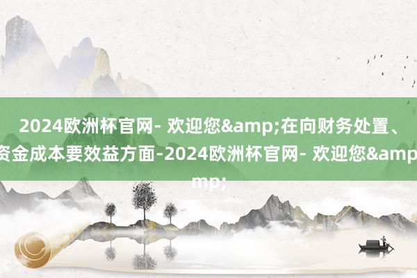 2024欧洲杯官网- 欢迎您&在向财务处置、资金成本要效益方面-2024欧洲杯官网- 欢迎您&