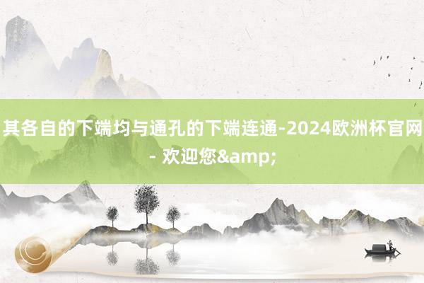 其各自的下端均与通孔的下端连通-2024欧洲杯官网- 欢迎您&