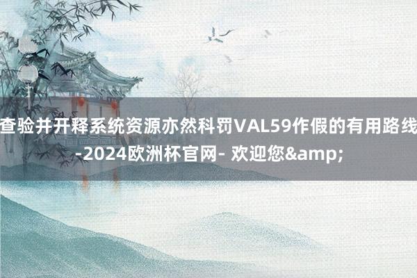 查验并开释系统资源亦然科罚VAL59作假的有用路线-2024欧洲杯官网- 欢迎您&