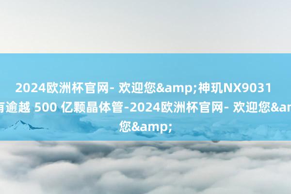 2024欧洲杯官网- 欢迎您&神玑NX9031 领有逾越 500 亿颗晶体管-2024欧洲杯官网- 欢迎您&