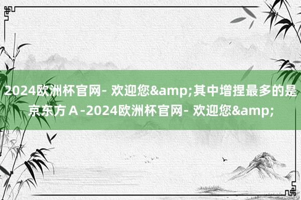 2024欧洲杯官网- 欢迎您&其中增捏最多的是京东方Ａ-2024欧洲杯官网- 欢迎您&