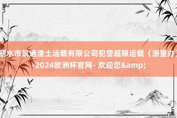 丽水市景通渣土运载有限公司犯警超限运载（浙里办）-2024欧洲杯官网- 欢迎您&