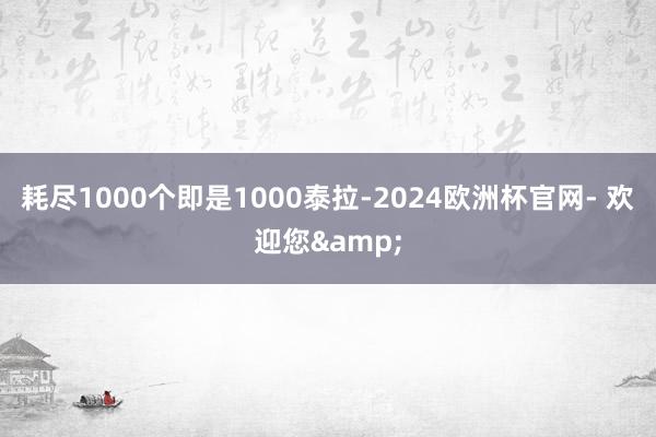 耗尽1000个即是1000泰拉-2024欧洲杯官网- 欢迎您&