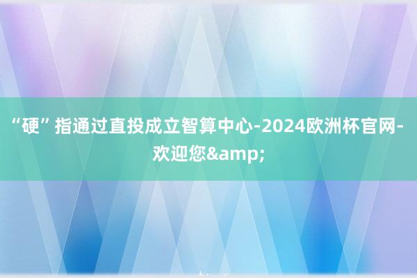 “硬”指通过直投成立智算中心-2024欧洲杯官网- 欢迎您&